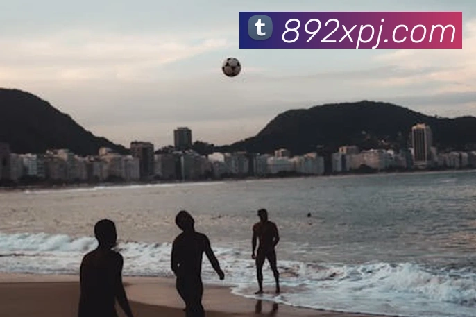 平台展示图